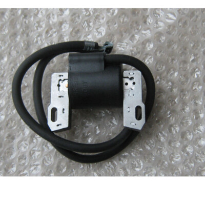 Bobina Per Motore Briggs Bobina Accensione Briggs & Stratton - Foto 4