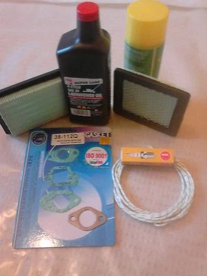 HONDA IZY HRG 465/415. sde Model C3. 6 Piece SERVICE KIT