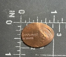 H-E-B Science Treehouse of the Witte Museum San Antonio Elongated Pressed Penny