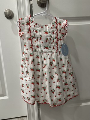 NWT Little English Mila Sundress Strawberry Fields 3T