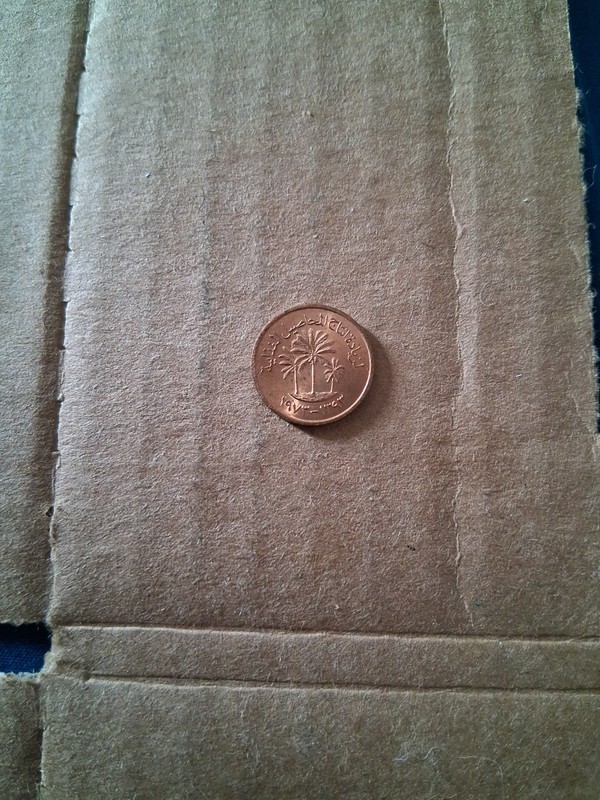 1973 United Arab Emirates 1 Fils Coin 