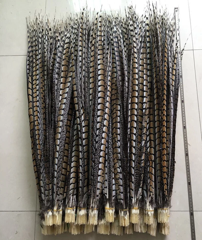 Venta al por mayor 10/50 piezas plumas naturales raras cola de faisán cola de faisán 12-39 pulgadas Foto 3 de 4