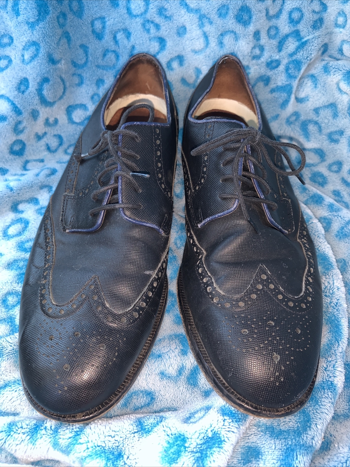 SAOLA Scarpe eleganti casual da uomo COLE HAAN blu grigio pelle a punta di ala Oxford 10 M ottime condizioni (16