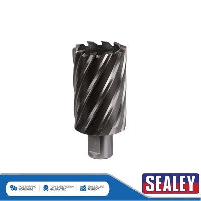 Sealey Worksafe �� 40 mm HSS Mag Bohrer Schnitttiefe 50 mm RBHSS40L