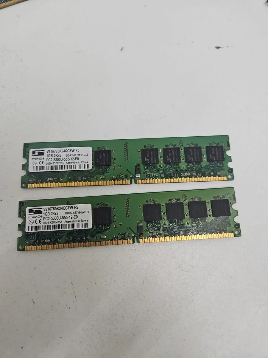 Lot De 20 Barrettes Mémoire DDR2 1Go PC2-6400 (800MHz) - Occasion Testées OK
