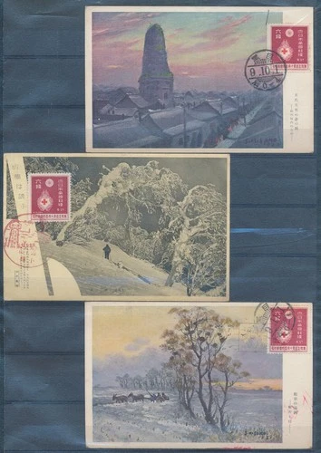 XE59688 Japan red cross winter landscapes maxicards used