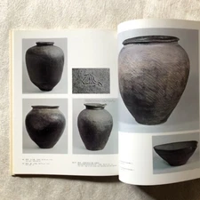 Japanese Ceramics Echizen Kaga Suzu Ware Art Asian Antiques Vases