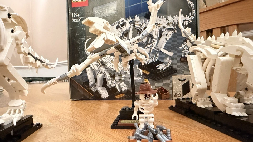 LEGO Ideas 21320 Dinosaur Fossils, photo 4 of 5