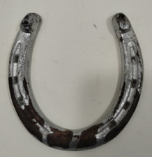 Lucky Horseshoe Good Luck Charm LUCK NOT GUARANTEED 