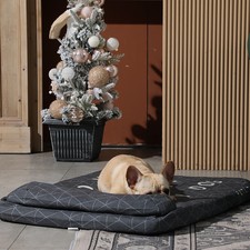 petlo dog bed
