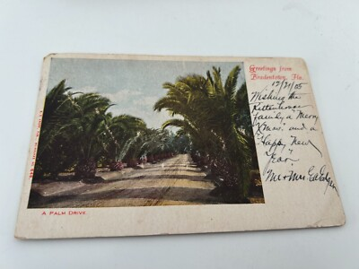 #ad #ad Greetings from Bradentown Bradenton Florida A Palm Lined Drive Postcard $9.99