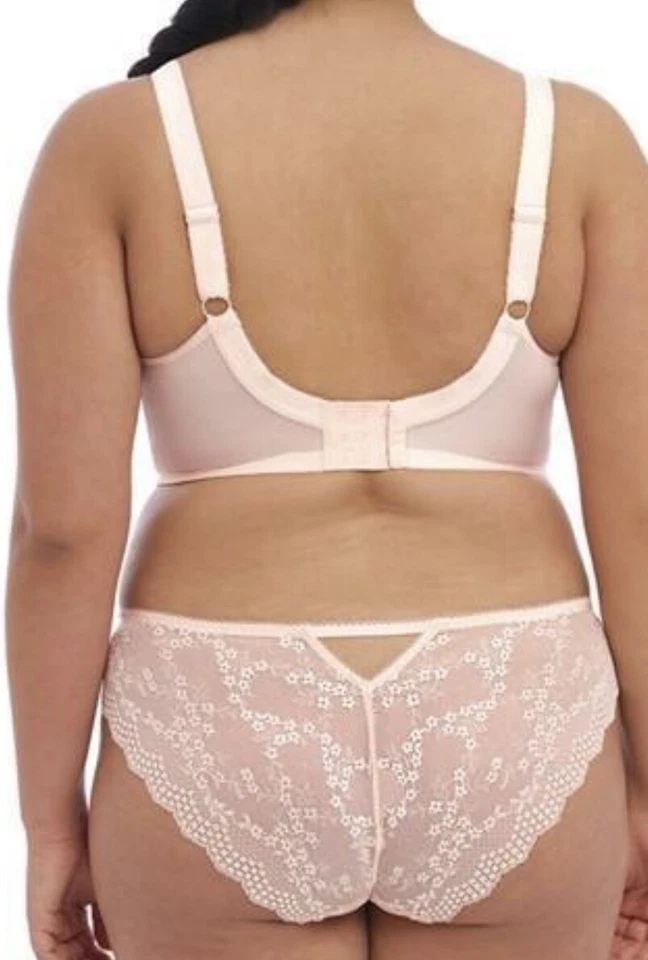 Brief de Elomi Charley en Rosa Rosa Tallas L, XL, XXL AHORA MITAD PRECIO Foto 2 de 2