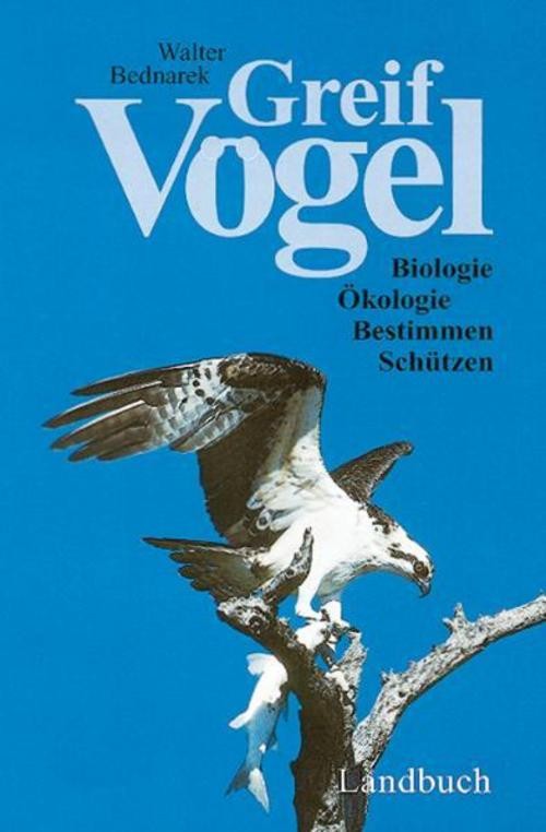 Greifvögel Walter Bednarek