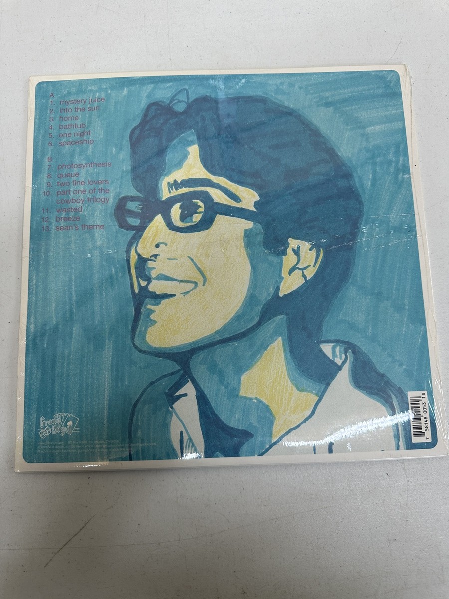 Sean Lennon Into the Sun レコード SEAN LENNON - INTO THE SUN (LP) | LIVING STEREO