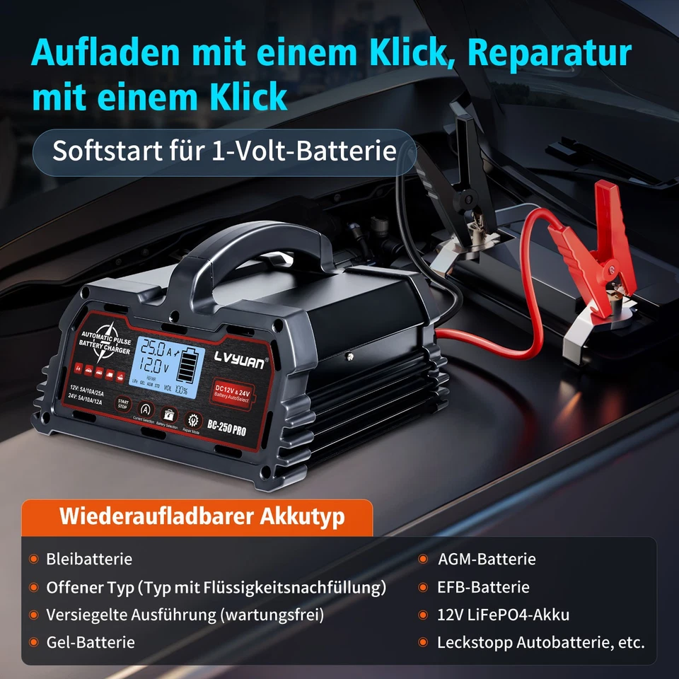 25A 12V 24V Intelligentes Ladegerät für Blei-Säure-Batterien für Auto, Lkw, Boot - Bild 4 von 4