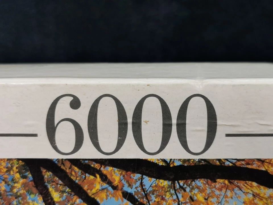 Nathan BRUME 6000 Piece Jigsaw Puzzle, Complete (106.5 x 155 cm) - Image 4 of 4