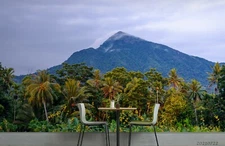 3D Tropic Forest Mountain Wallpaper Wall Mural Removable Self-adhesive Sticker72