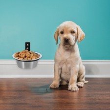  Gamelle Murale Pour Chien Suspendue Bols De Nourriture Chiens Animaux