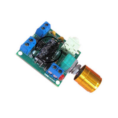 PAM8406 Power Module (1PCS)