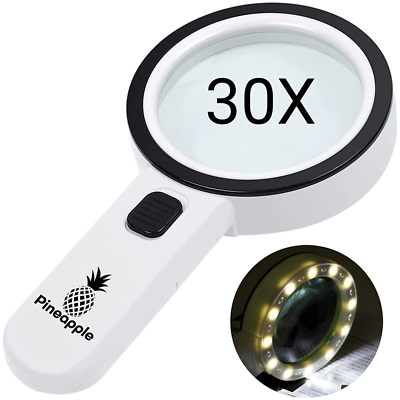 Handheld Lighted Magnifiers Reading