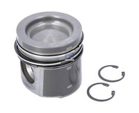 Kolben Komplett Mit Ringen DT Spare Parts 4.50455 D:102Mm L:1012Mm