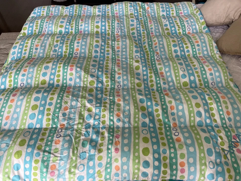 Pottery Barn青少年睡袋蓝色绿色刺绣带安娜 — 第 4/4 张图片