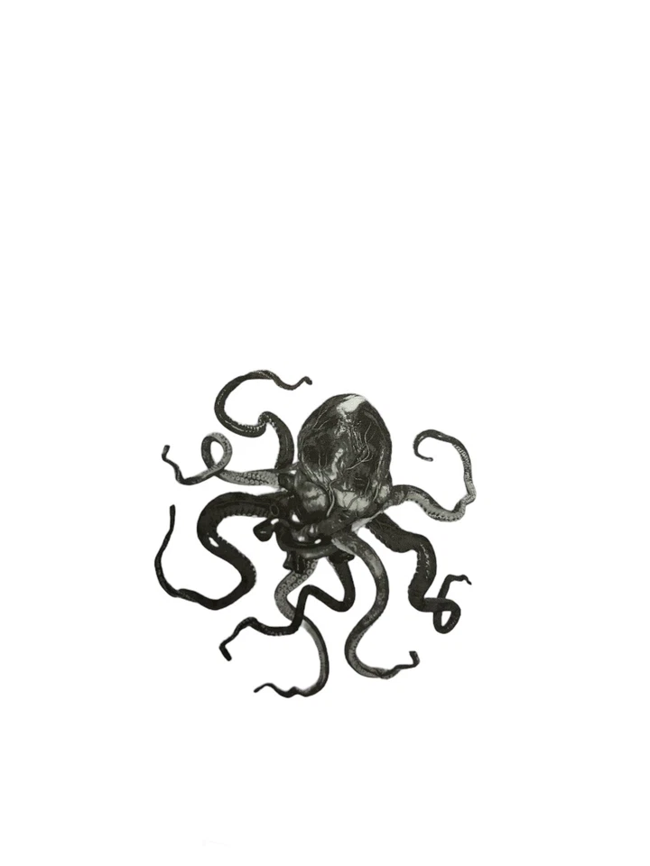 A Perfect Circle - Eat The Elephant - Rare Hologram & Vinyl & CD Boxset SIGNED Foto 4 de 4