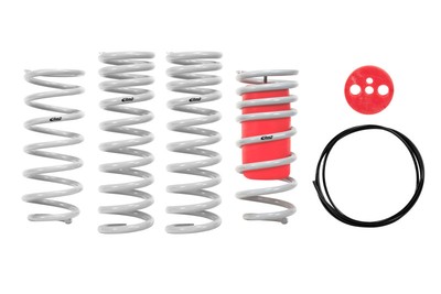 Eibach Drag Launch Kit for 79-98 Ford Mustang Cobra Coupe / 79-04 Couple / 03-04