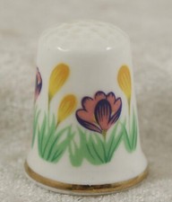 China Thimble crocus summer/spring garden flowers