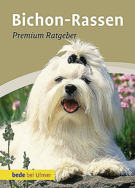 Bichon-rassen Karin Biala-gauß