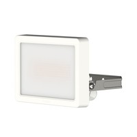 Theben 1020672 Theleda B20 Dual WH Led-Strahler 20 W Wandmontage AußEn IP65