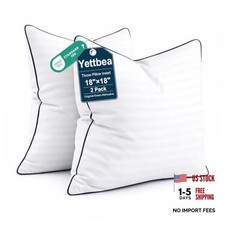 18x18 Inches Pillow Inserts Set of 2- Premium 18x18 Inch Pack of 2 White