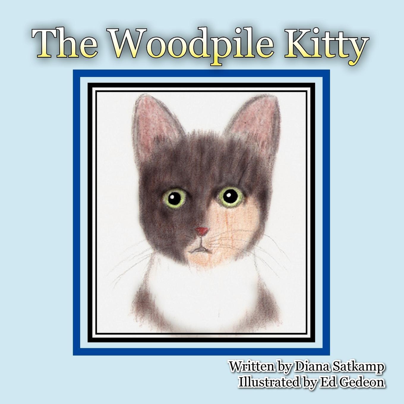 Thumbnail - The Woodpile Kitty Diana Satkamp Taschenbuch Paperback Englisch 2011