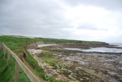Photo 6x4 Coastline north of Sharpers' Head Berwick-upon-Tweed  c2011