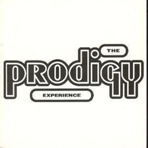 The Prodigy The Prodigy Experience (CD) Album