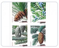 NEW USPS Holiday Evergreens Book of 20 Forever Stamps MNH 2009 Christmas