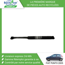 Verin de hayon / de capot Fiat PUNTO