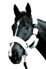 Horse Halter with White Faux Fur for Horses (UKSALES25®)