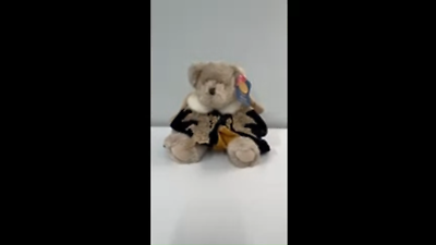 Dan Dee Chocolate Scented Teddy Bear Plush Valentine's Day 10