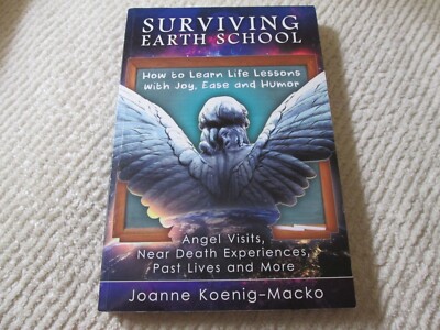 Surviving Earth School Life Lesson Angel Visits Near Death Experiences Past Live