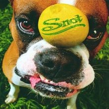 Get Some von Snot | CD | Zustand gut