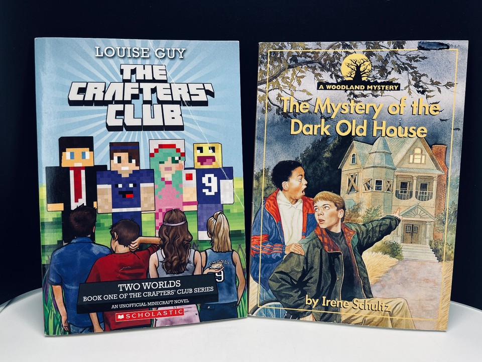 LOT 20 Accelerated Reader AR Reading Level 4 Chapter Books Boy Interest ...