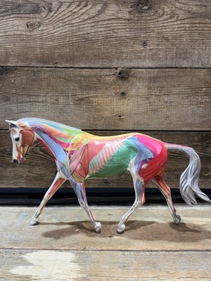 2008 Breyer, Anatomy in Motion, #1228, Sommer Prosser