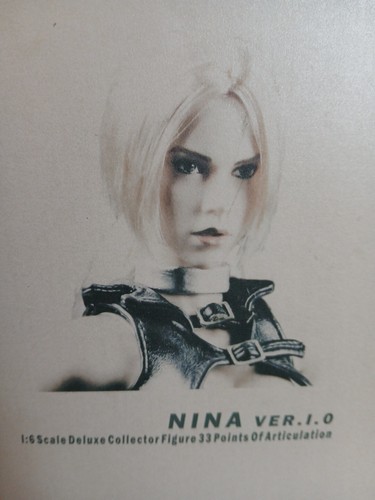 Phicen🐉1/6 12" Tekken Nina Williams VER. Figura de acción 1.0🐉MIRA ENVÍO GRATUITO - Imagen 2 de 22
