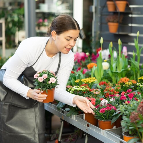 600 Pcs 6-Inch Bulk Plant Nursery Pots - Reliable Plastic Seedling Containers - Picture 7 of 9