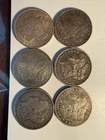 6 Coin Lot Of Morgan silver dollars BEAUTIFUL !!