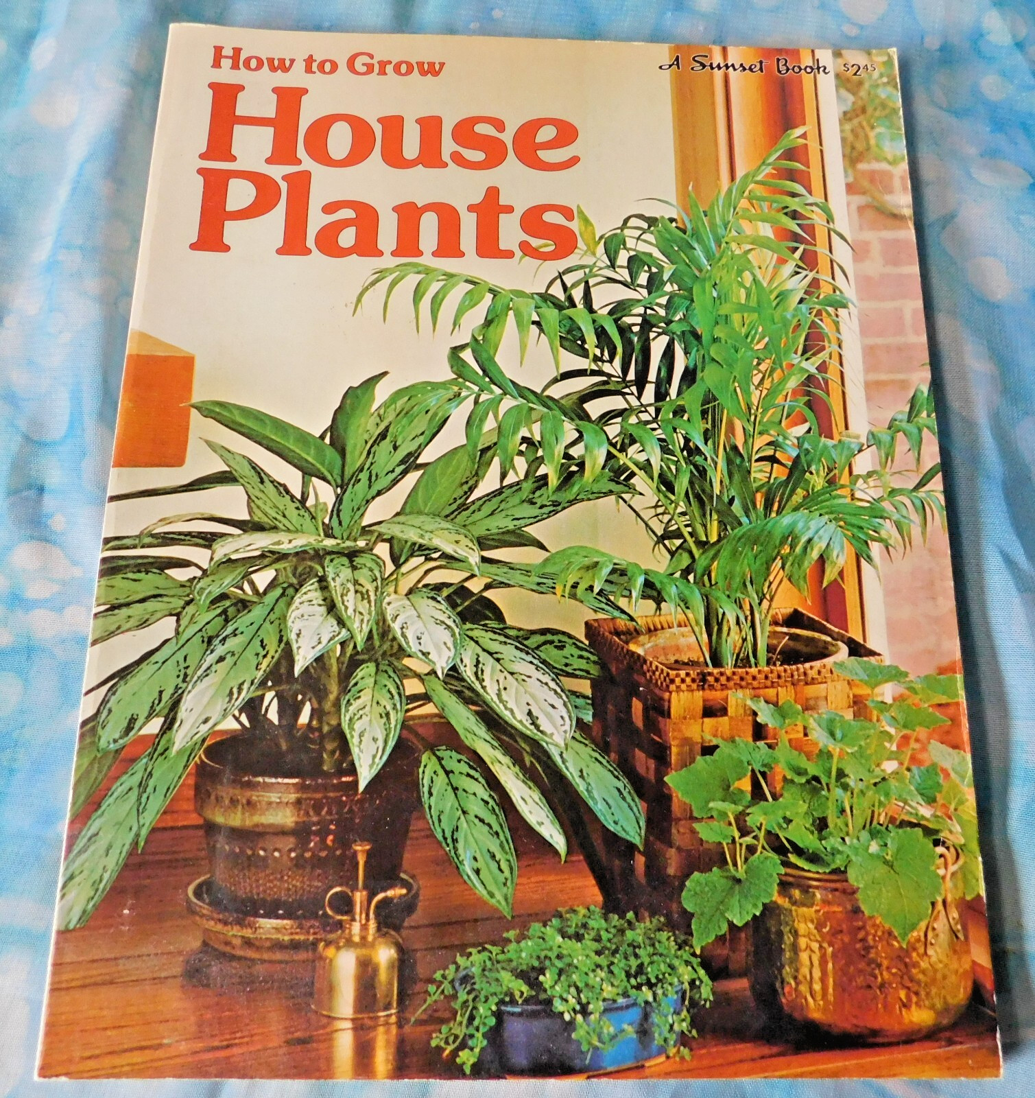 Vintage How Tgo Grow House Plants A Sunset Book 1975