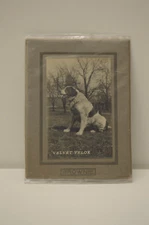 c1910 - Velvet Velox BROWNIE Sample Print Showing No. 0 Camera Eastman Kodak NY