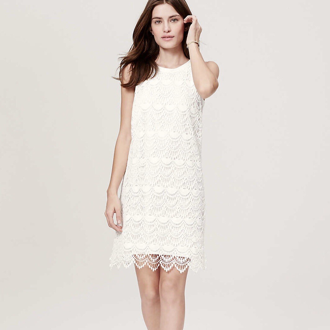 NEW Ann Taylor LOFT Petite Scallop Lace Shift Dress *NWT* Sz: