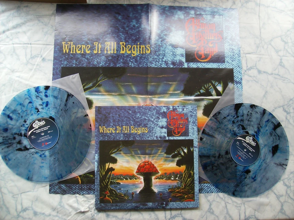 RARE BLUE & BLACK SWIRL ! THE ALLMAN BROTHERS BAND Where It All Begins double LP - Image 4 of 4
